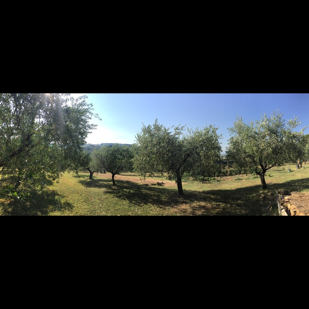 Meet your Posher, Jane